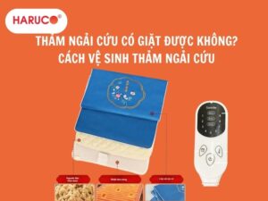 tham-ngai-cuu-dong-y-haruco