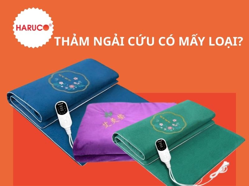 Thảm ngải cứu có mấy loại? Phân biệt từng loại