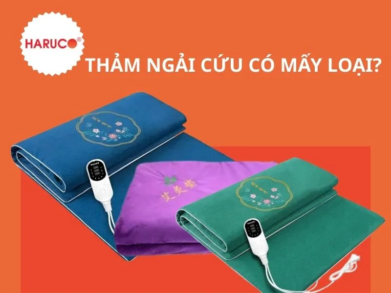 tham-ngai-cuu-dong-y-haruco