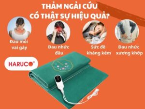 tham-ngai-cuu-dong-y-haruco