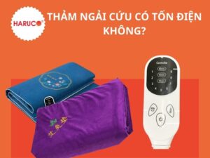 tham-ngai-cuu-dong-y-haruco