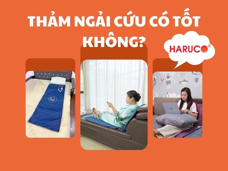 tham-ngai-cuu-dong-y-haruco