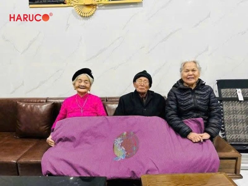 tham-ngai-cuu-dong-y-haruco