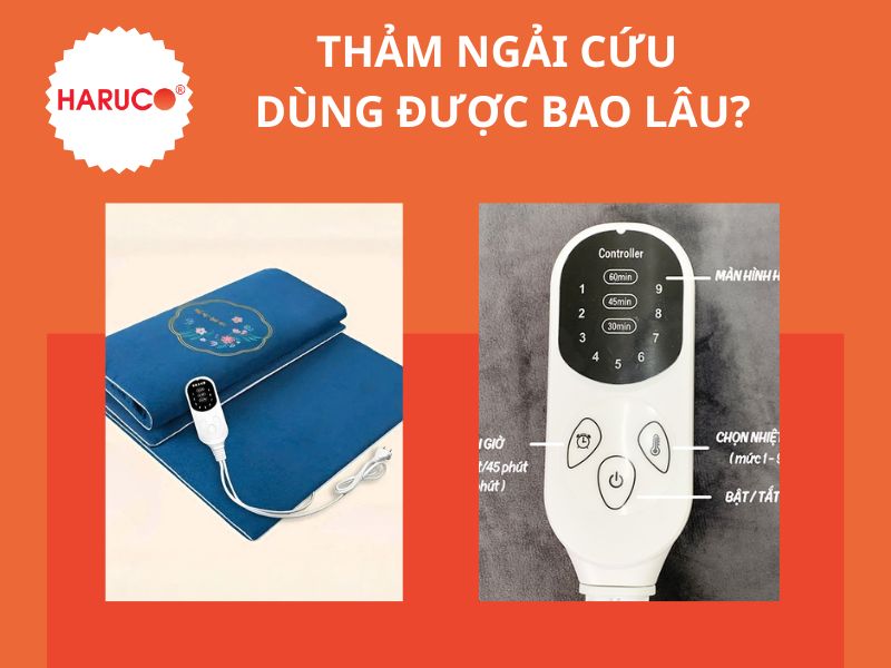 Thảm ngải cứu dùng được bao lâu? Thời gian sử dụng