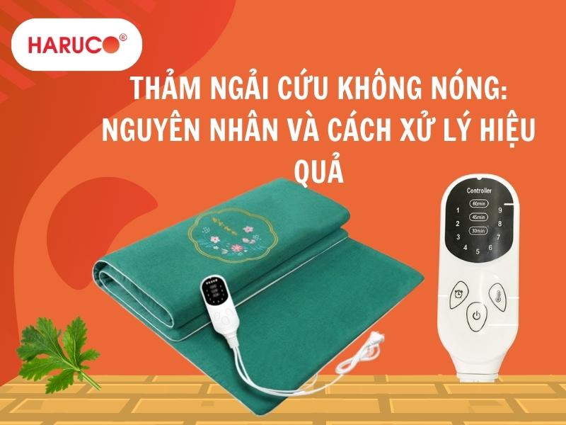 Thảm ngải cứu không nóng: Nguyên nhân và cách xử lý hiệu quả