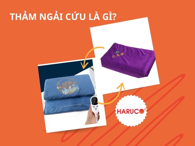 Thảm ngải cứu là gì? Những điều cần biết trước khi dùng