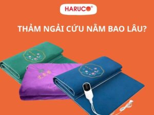 tham-ngai-cuu-dong-y-haruco