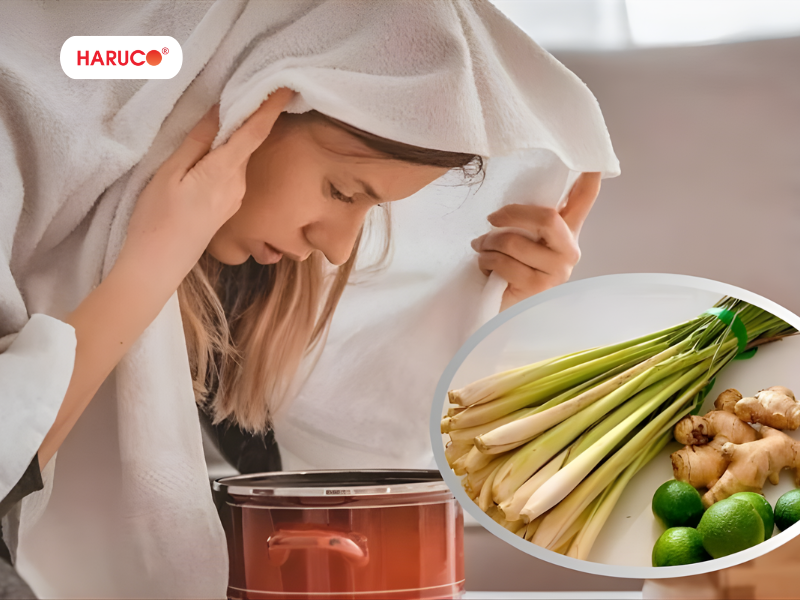 leu-xong-hoi-tai-nha-haruco