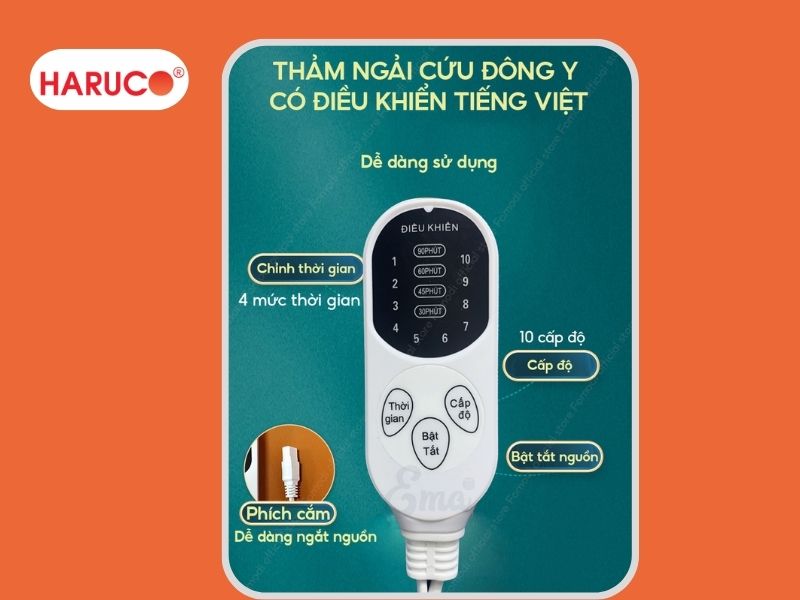 tham-ngai-cuu-dong-y-haruco