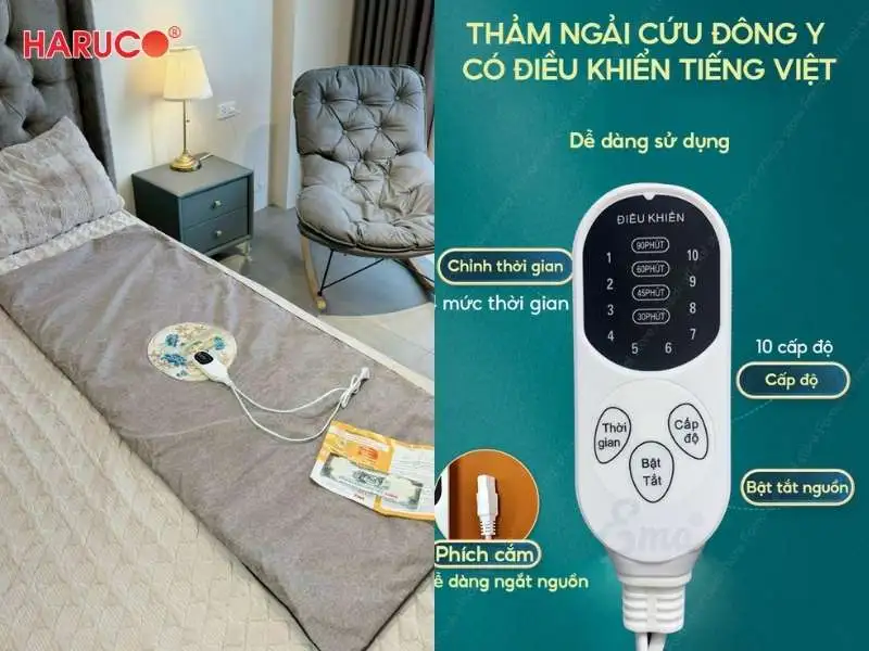 Bà bầu có nằm được thảm ngải cứu không - 2