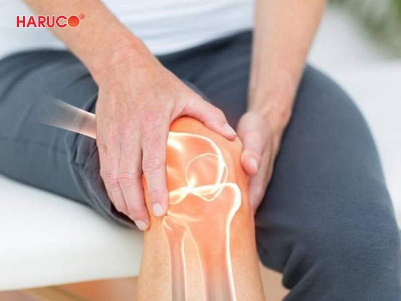 dai-gel-chuom-nong-lanh-haruco