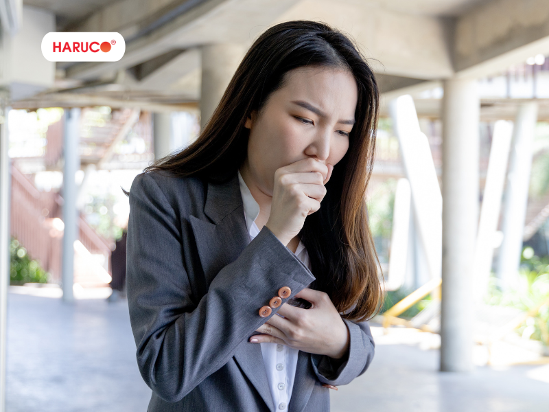 leu-xong-hoi-tai-nha-haruco