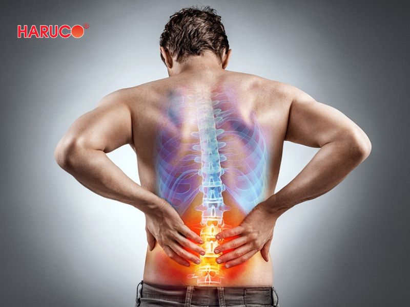 dai-gel-chuom-nong-lanh-haruco