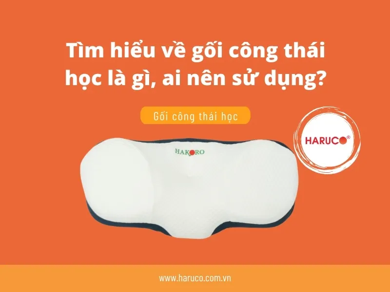 goi-cong-thai-hoc