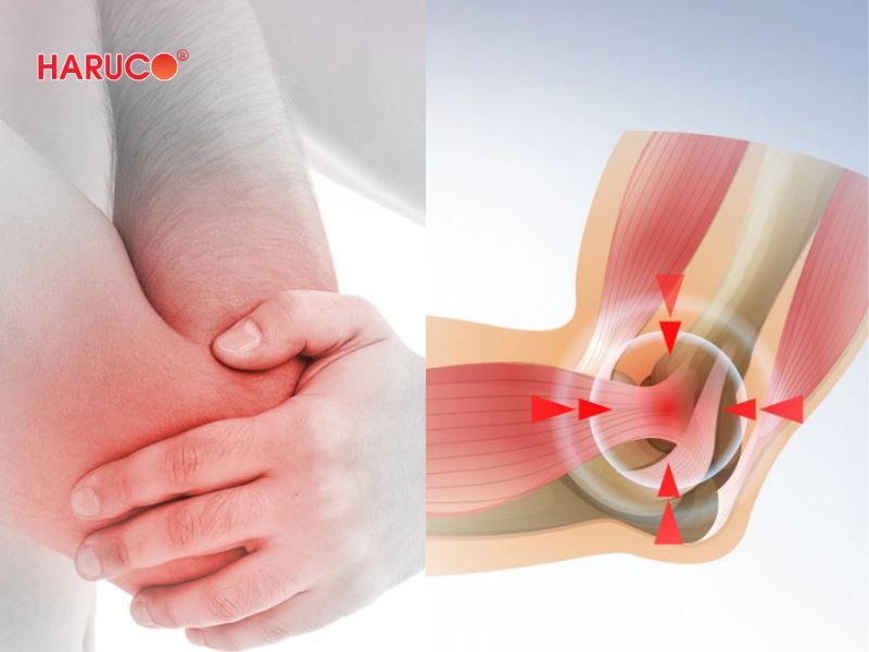 dai-gel-chuom-nong-lanh-haruco