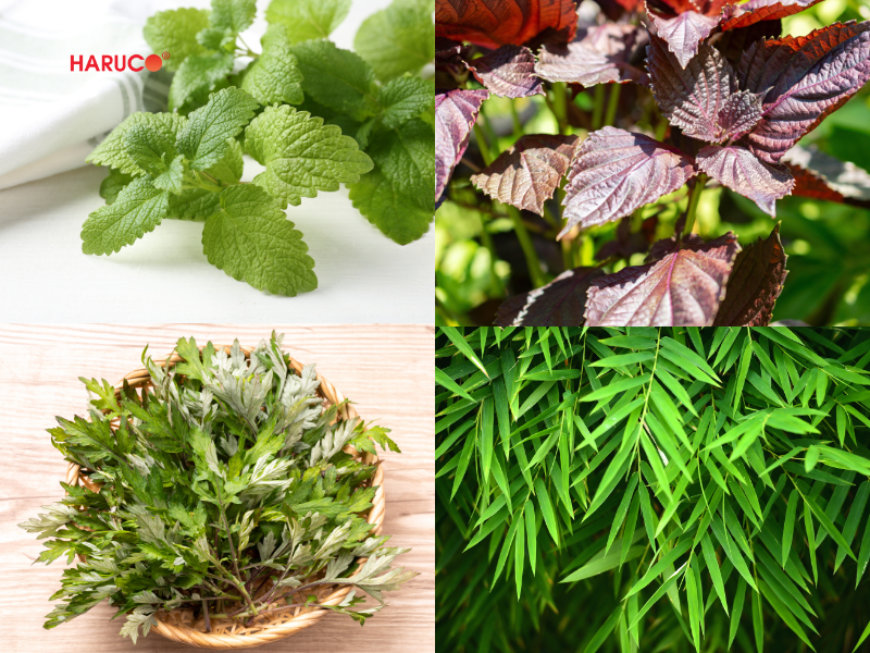 leu-xong-hoi-tai-nha-haruco