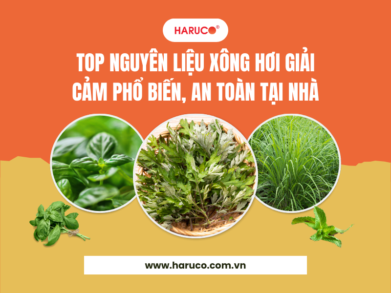 leu-xong-hoi-tai-nha-haruco