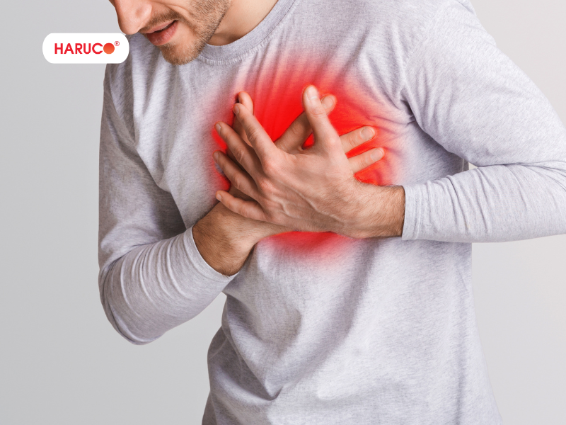 leu-xong-hoi-tai-nha-haruco