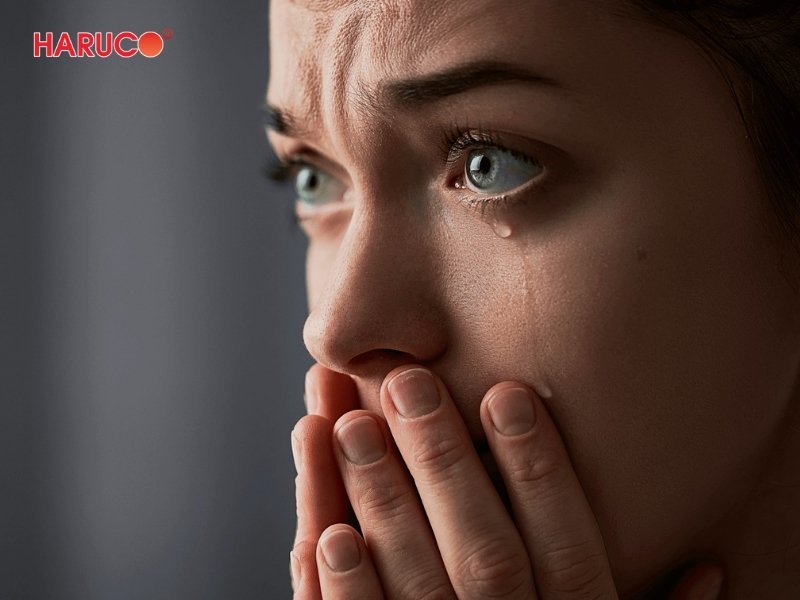 dai-gel-chuom-nong-lanh-haruco