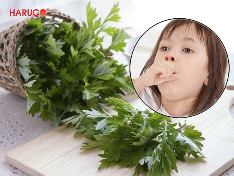 tham-ngai-cuu-dong-y-haruco