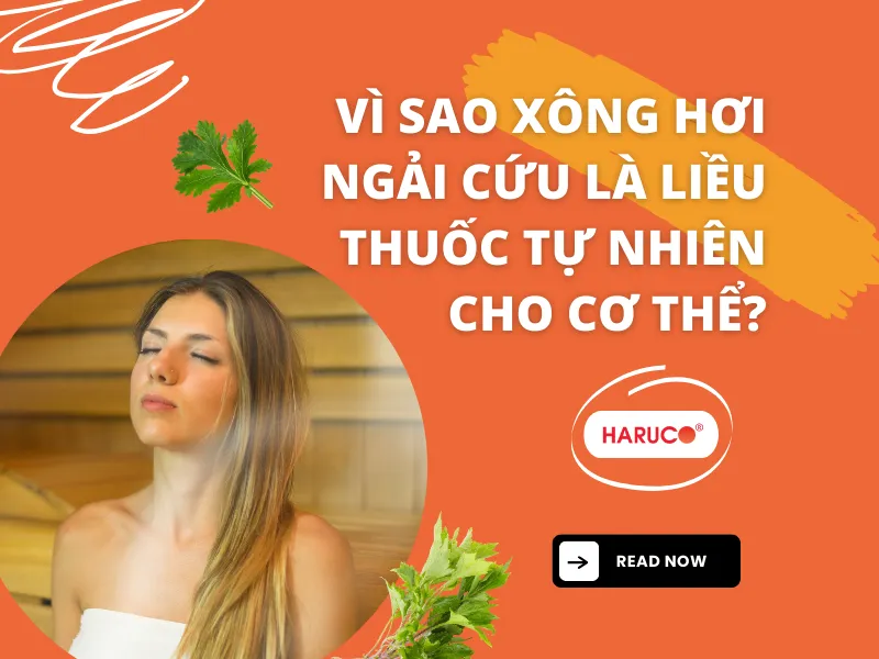 leu-xong-hoi-tai-nha-haruco