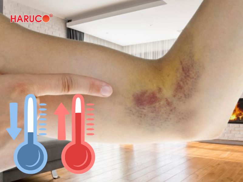 dai-gel-chuom-nong-lanh-haruco