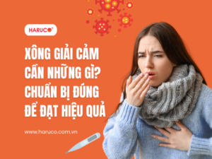 leu-xong-hoi-tai-nha-haruco