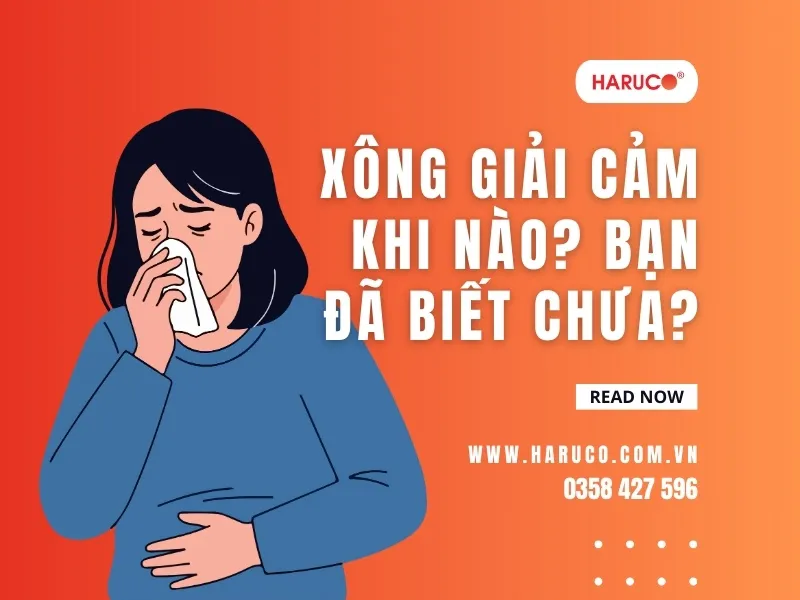 leu-xong-hoi-tai-nha-haruco