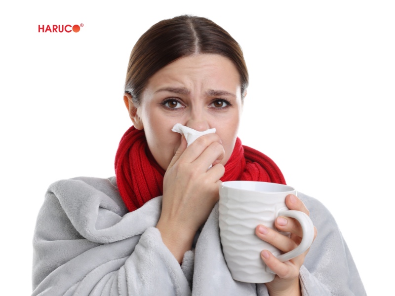 leu-xong-hoi-tai-nha-haruco