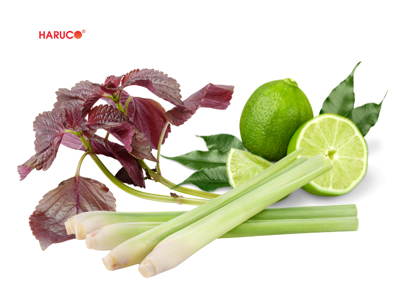 leu-xong-hoi-tai-nha-haruco