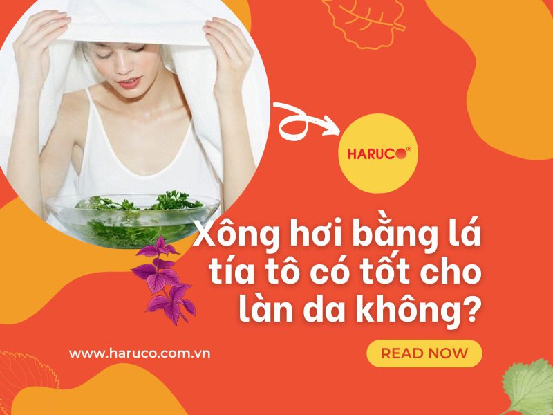 Xông hơi bằng lá tía tô có tốt cho làn da không?
