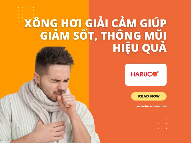 leu-xong-hoi-tai-nha-haruco