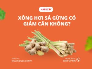 leu-xong-hoi-tai-nha-haruco