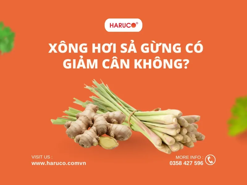 leu-xong-hoi-tai-nha-haruco