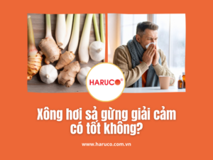 leu-xong-hoi-tai-nha-haruco