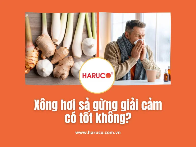 leu-xong-hoi-tai-nha-haruco