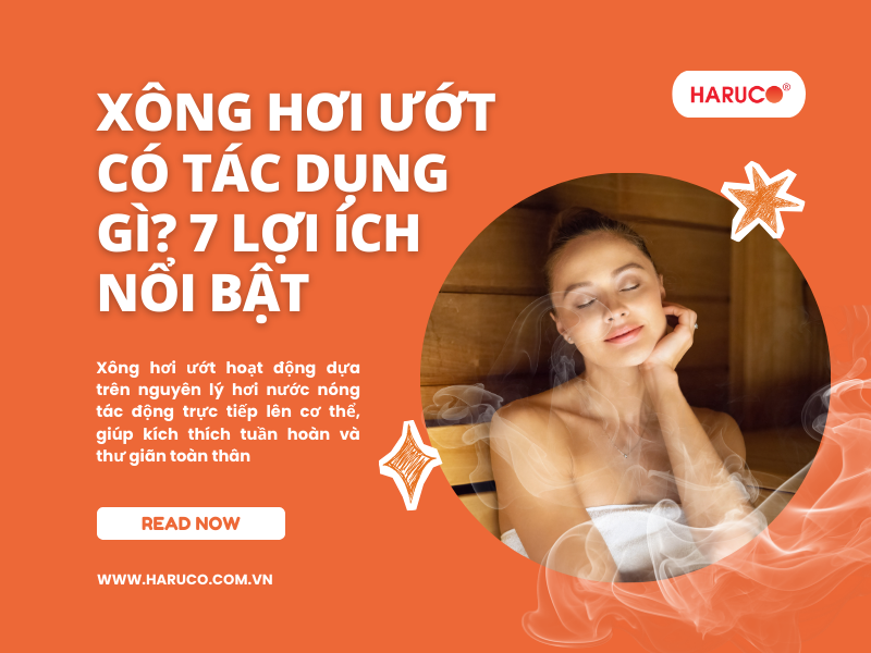 leu-xong-hoi-tai-nha-haruco