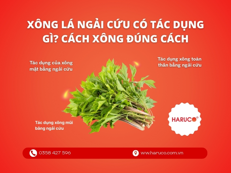 Xông lá ngải cứu có tác dụng gì? Cách xông đúng cách