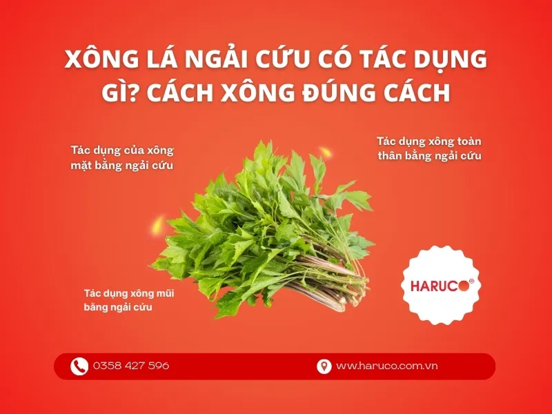 leu-xong-hoi-tai-nha-haruco