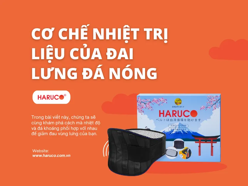 dai-lung-da-nong-haruco