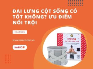 dai-lung-cot-song-haruco