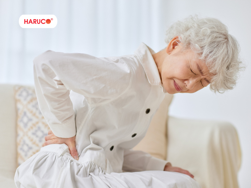 dai-lung-da-nong-haruco