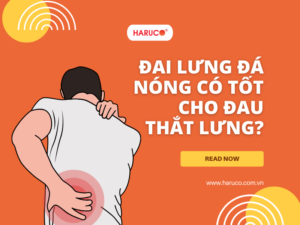 dai-lung-da-nong-haruco