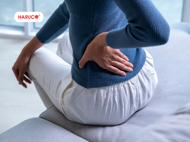 dai-lung-da-nong-haruco