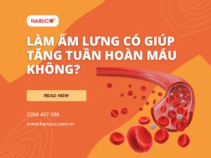 dai-lung-da-nong-haruco