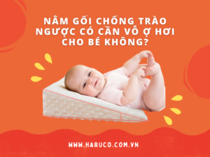 goi-chong-trao-nguoc