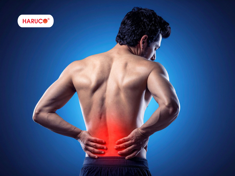 dai-lung-da-nong-haruco