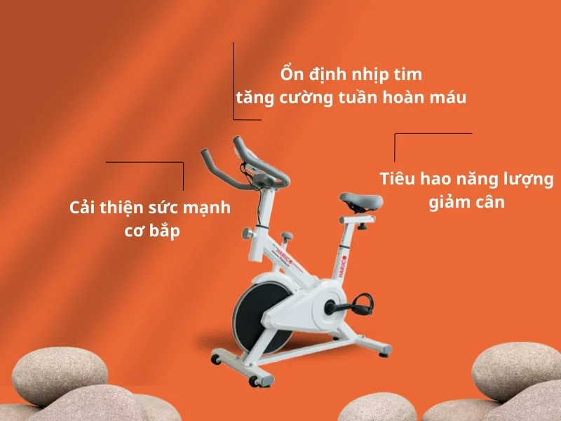 xe-dap-tap-the-duc