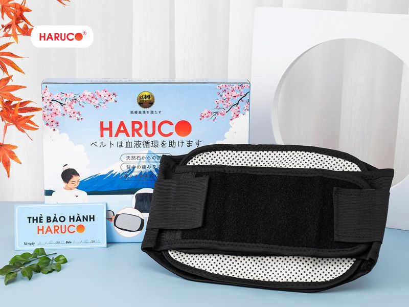 dai-lung-da-nong-haruco