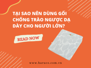 goi-chong-trao-nguoc